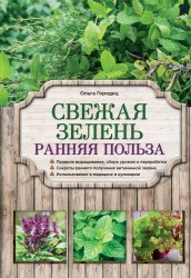 Свежая зелень. Ранняя польза