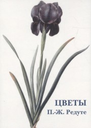 Цветы (набор из 15 открыток)