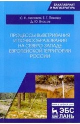 Процессы выветривания и почвообразования на северо-западе европейской территории России. Учебное Пособие