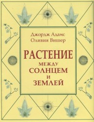 Растение между солнцем и землей. Учение о физическом и эфирном пространстве