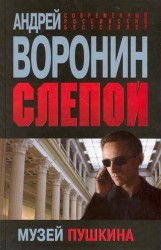 Слепой Музей Пушкина