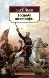 Господа волонтеры: роман