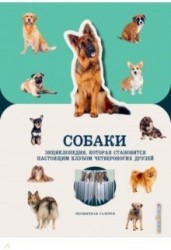 Собаки