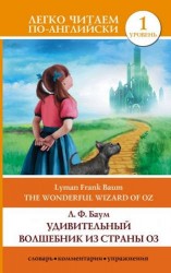 The Wonderful Wizard of Oz / Удивительный волшебник из страны Оз. Уровень 1