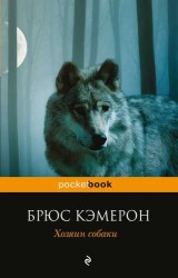 Хозяин собаки