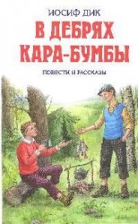 В дебрях Кара-Бумбы