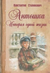 Антошка. История одной жизни. Повесть