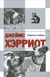 Истории о кошках и собаках
