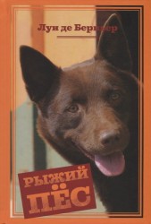 Рыжий пес