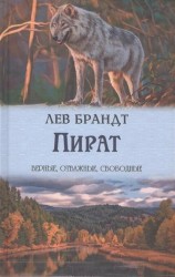 Пират