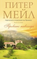 Прованс навсегда. Роман
