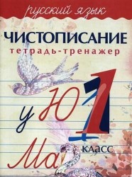Русский язык. Чистописание. 1 класс. Тетрадь-тренажер