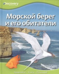 Морской берег и его обитатели