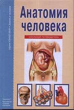 Анатомия человека Школьный путеводитель