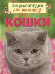 Кошки