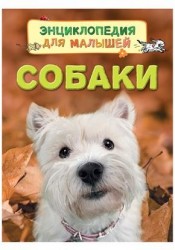 Собаки