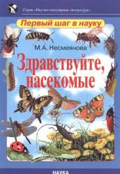 Здравствуйте, насекомые