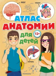 Атлас анатомии для детей