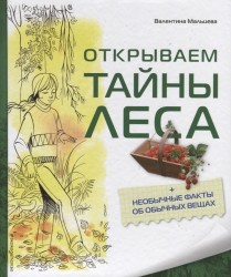 Открываем тайны леса