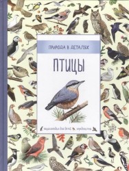 Птицы. Энциклопедия для детей. Определитель