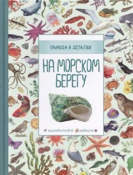 На морском берегу. Энциклопедия для детей