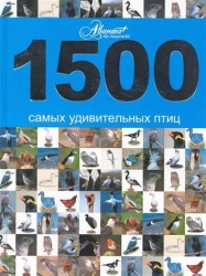 1500 самых удивительных птиц