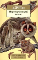 Перегруженный ковчег