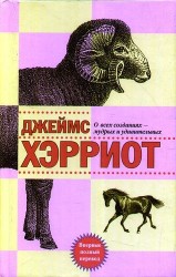 О всех созданиях - мудрых и удивительных : рассказы