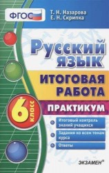 Русский язык. 6 класс. Итоговая работа. Практикум