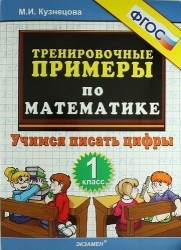 Тренировочные примеры по математике. 1 класс. Учимся писать цифры