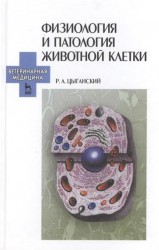 Физиология и патология животной клетки: Учебное пособие