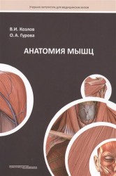 Анатомия мышц. Учебное пособие