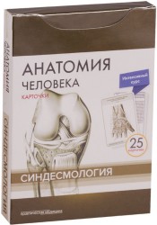 Анатомия человека. Карточки. Синдесмология. Интенсивный курс (25 карточек)