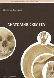 Анатомия скелета. Учебное пособие