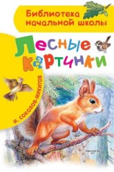 Лесные картинки