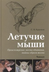 Летучие мыши. Происхождение, места обитания, тайны образа жизни