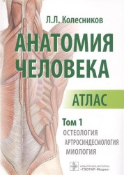 Анатомия человека. Атлас. В 3 -х томах. Том 1. Остеология. Артросиндесмология. Миология