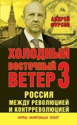 Россия между революцией и контрреволюцией. Холодный восточный ветер 3.